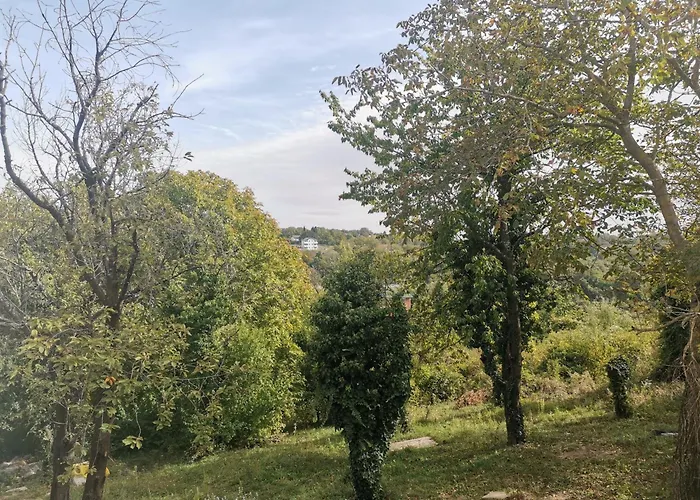 Apartman Extra Fruske *